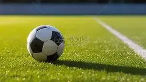 《足球奇缘：从塞内加尔到芬兰，再战德国队，佳夫的跨国之旅喜悦再续》