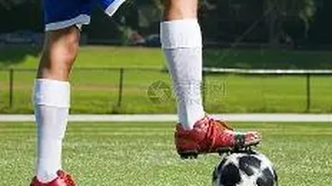 谈球吧 产品 083503 wfa